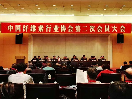 Chinese Cellulose Industries Association