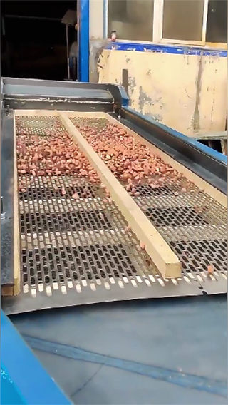 Grain Seed Linear Vibrating Screen Sieve Grading Machine/Vibrating Sieve Grain Vibrating Screen