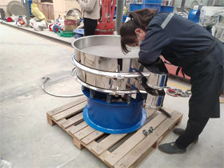 Vibratory sieve with elevator manufacturer